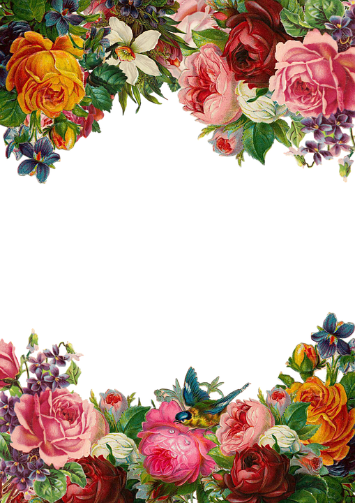 Flower Pixabay Clip art - Beautiful flowers border png download - 509