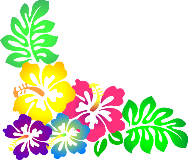 transparent background hawaiian flowers clipart
