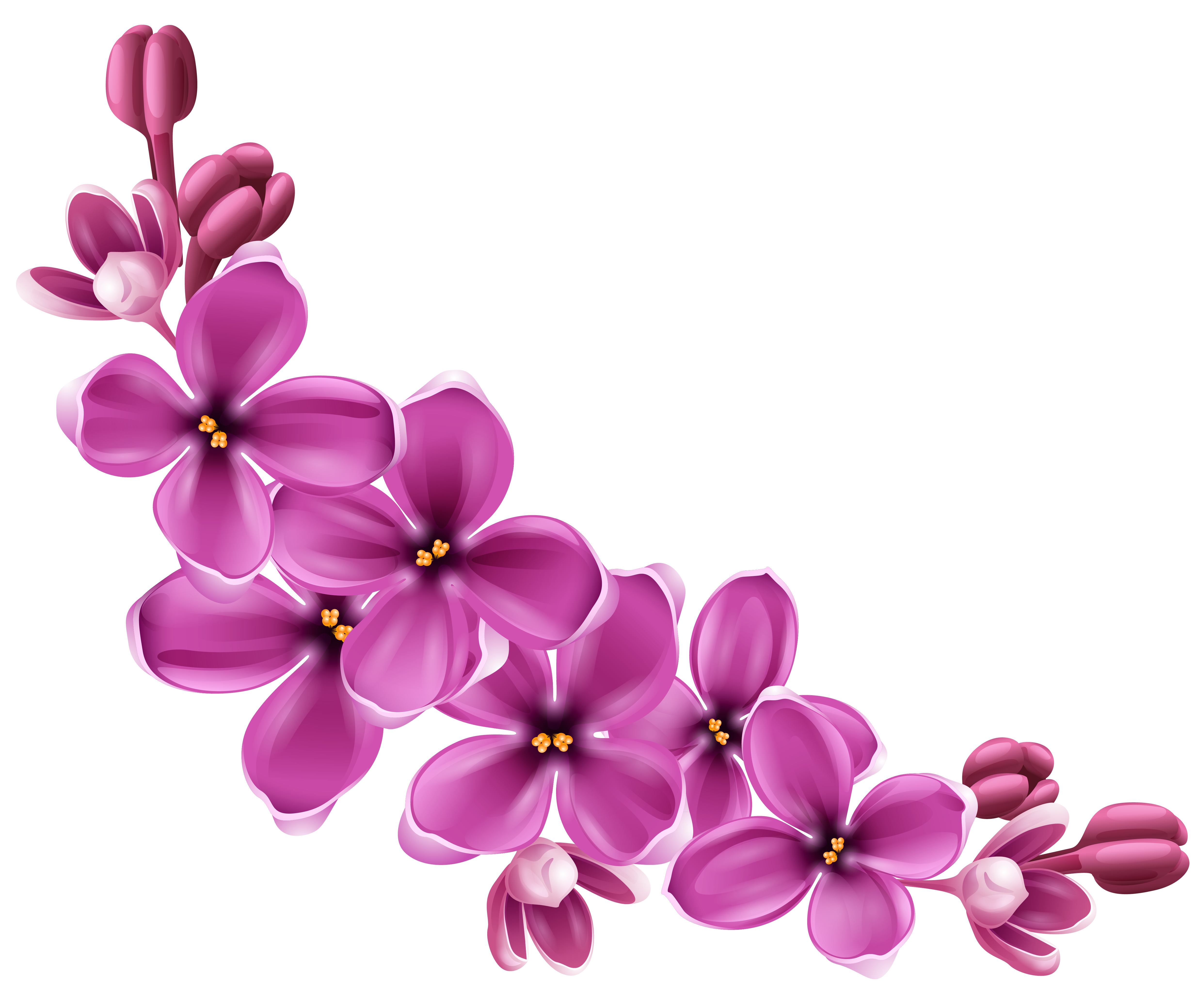 Flower Clip art - Flowers Png 9 png download - 4967*4131 - Free