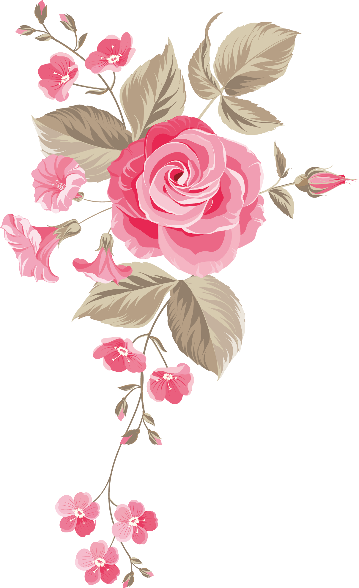 Garden Roses Centifolia Roses Floral Design Cut Flowers Flower Bouquet Hand Painted Flowers Background Png Download 1208 1979 Free Transparent Wedding Invitation Png Download Clip Art Library,Hm Designer Collaborations 2020