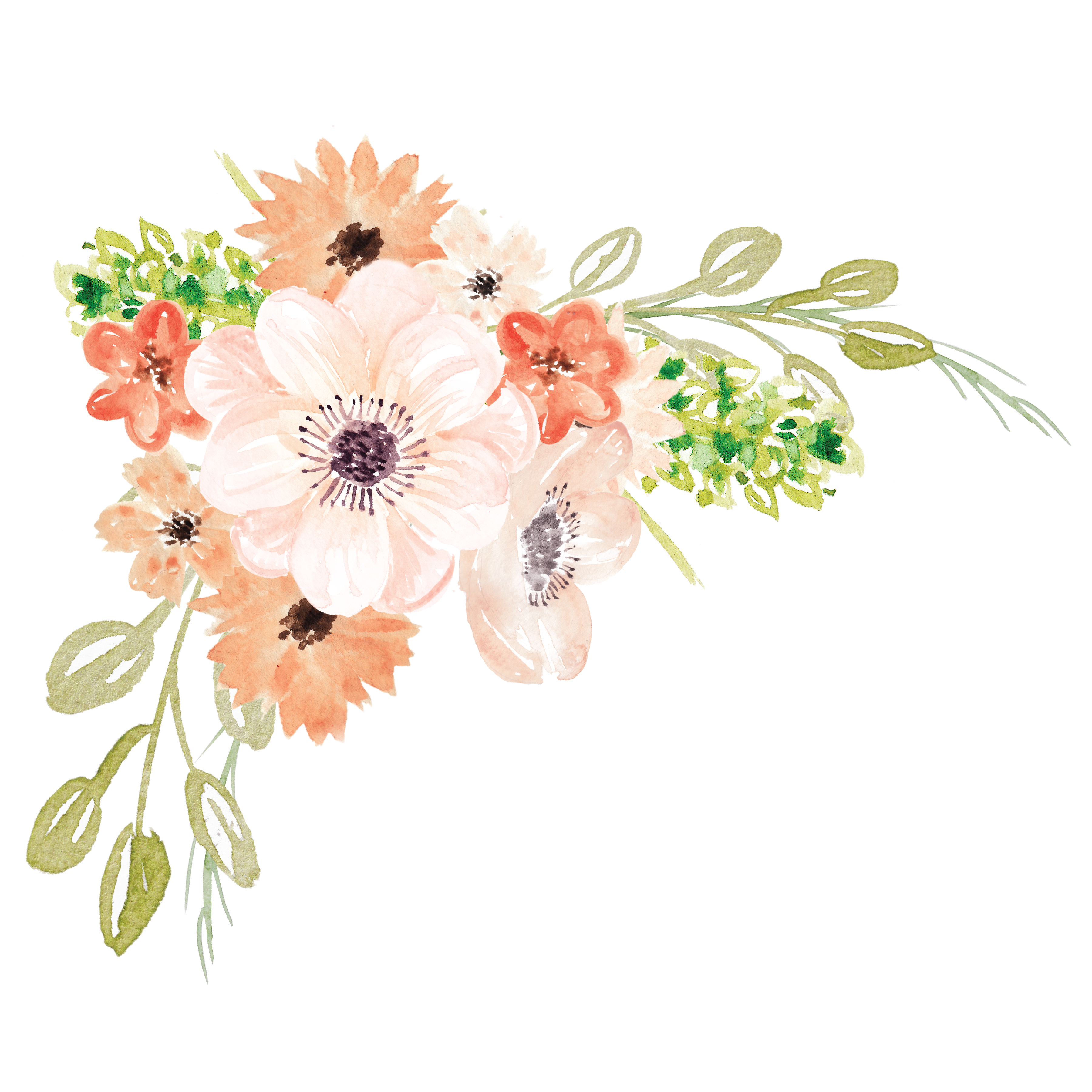 18 Watercolor Flowers Png Transparent Background