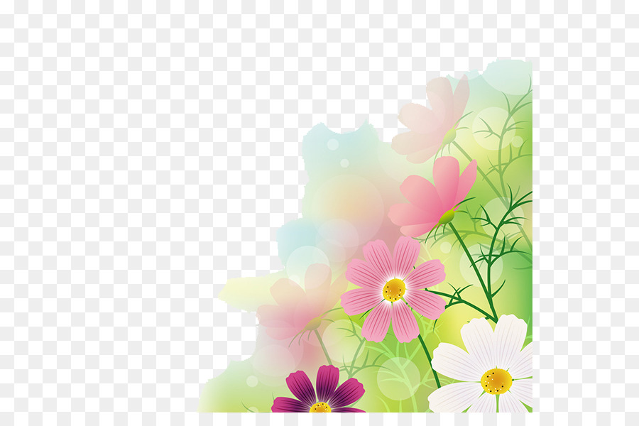Cosmos bipinnatus Photography Illustration - Floral background png download - 600*600 - Free Transparent Cosmos Bipinnatus png Download.