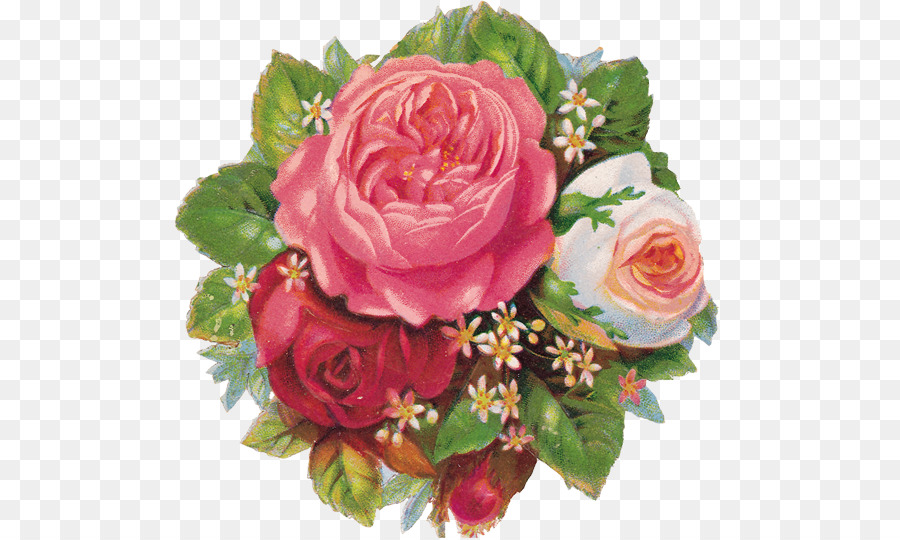 Cut flowers Paper Rose Flower bouquet - roses bouquet transparent png download - 550*538 - Free Transparent Flower png Download.