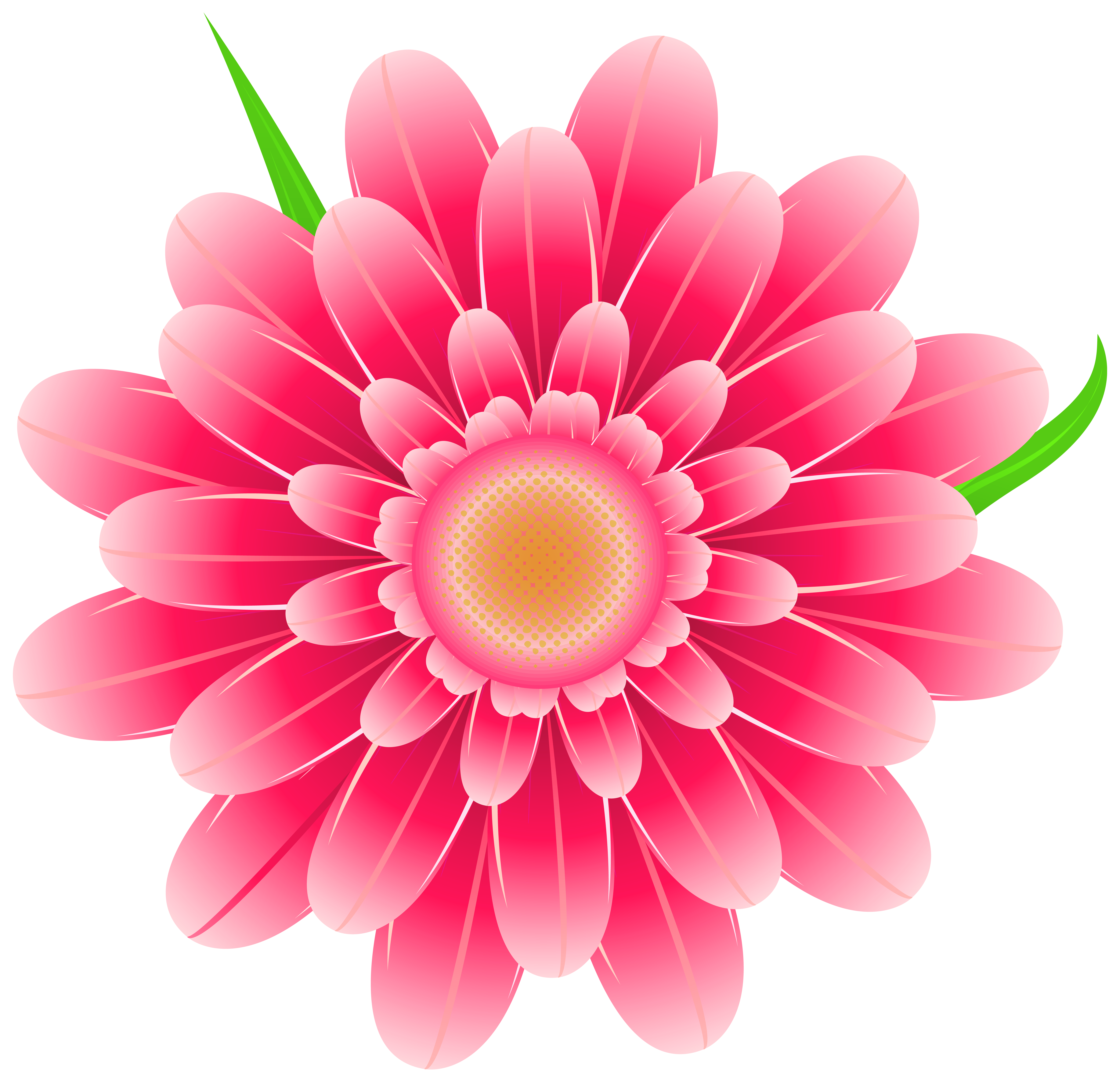 Pink flowers Clip art - Transparent Pink Flower Clipart PNG Image png