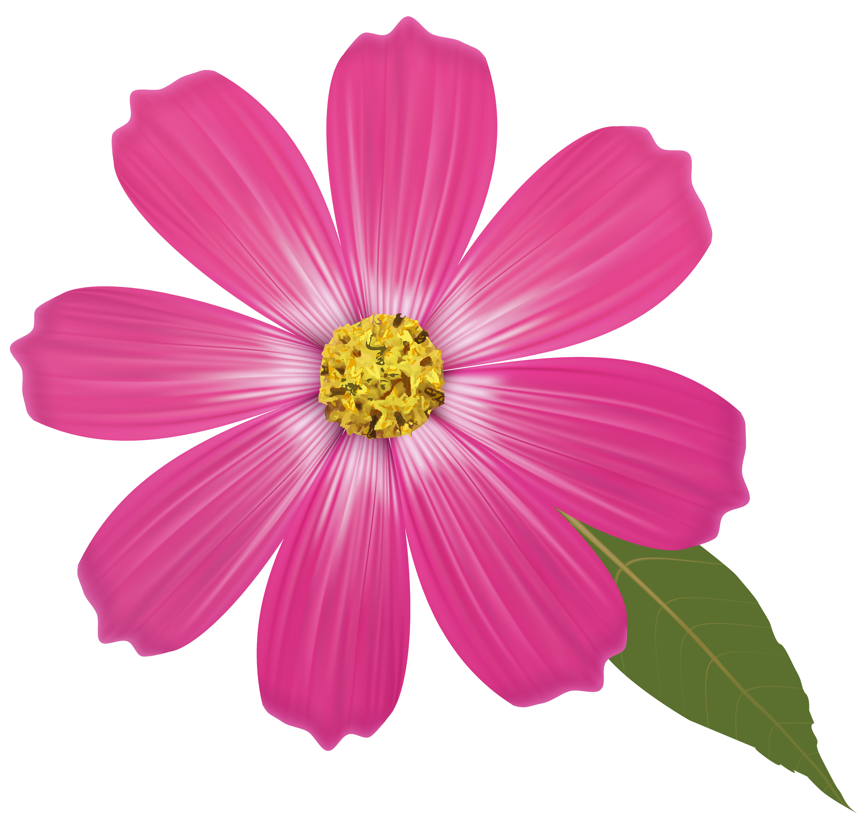 Pink Flower Transparent Clip Art Pink Flowers, Flower Clipart, Flowers |  :443