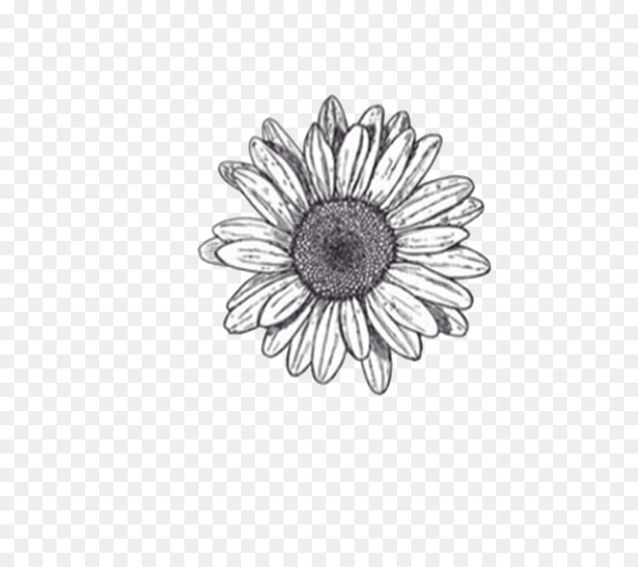 Flower Drawings Sketch - flower png download - 1280*1120 - Free Transparent Flower Drawings png Download.