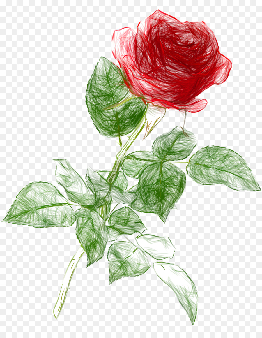 Rose Drawing Clip art - doodle png download - 1246*1600 - Free Transparent Rose png Download.