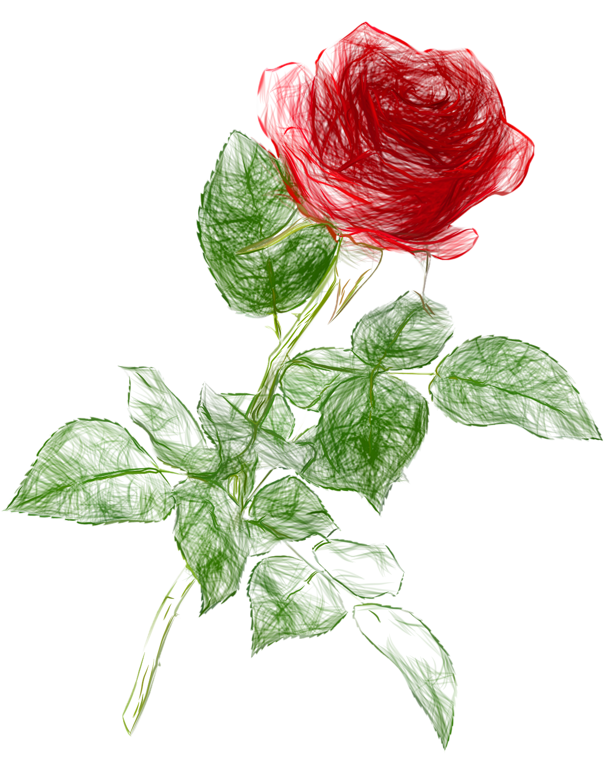 Rose Drawing Clip art - doodle png download - 1246*1600 - Free