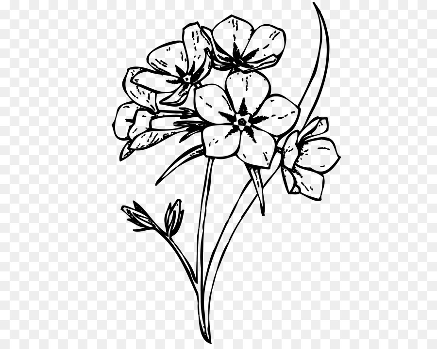 Featured image of post Line Art Flowers Transparent Background : 300+ vectors, stock photos &amp; psd files.