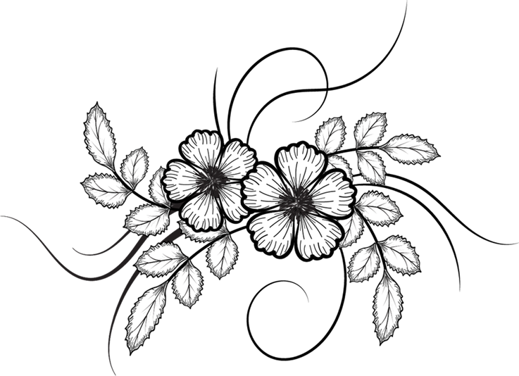 Flower Drawing - flower sketch png download - 737*534 - Free