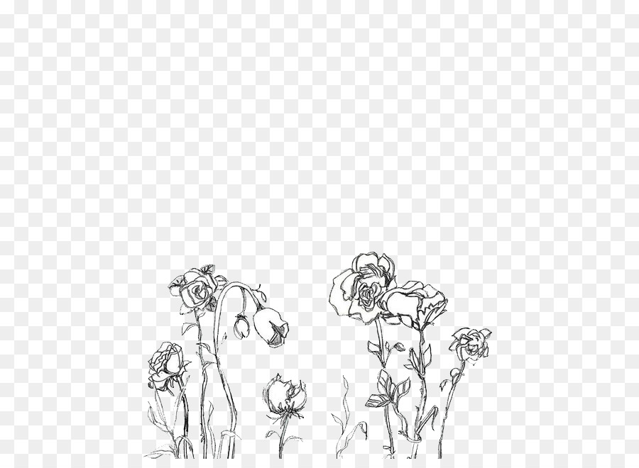 Aesthetics Black and white Photography Color - drawing flower png download - 500*647 - Free Transparent  png Download.