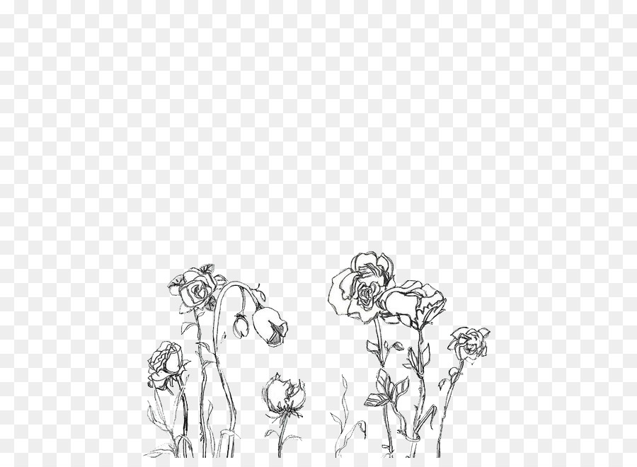 tumblr transparent flower drawing