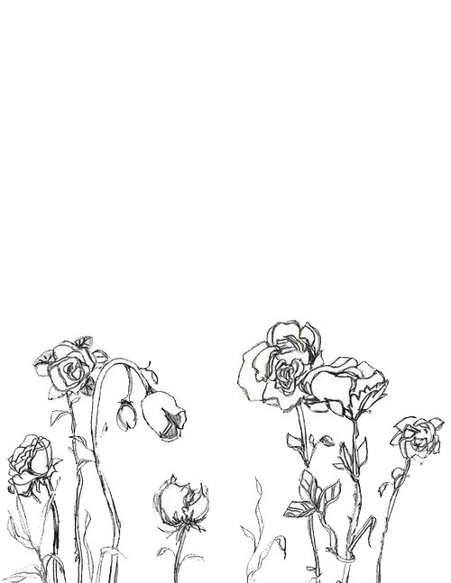 Aesthetics Black And White Photography Color Drawing Flower Png