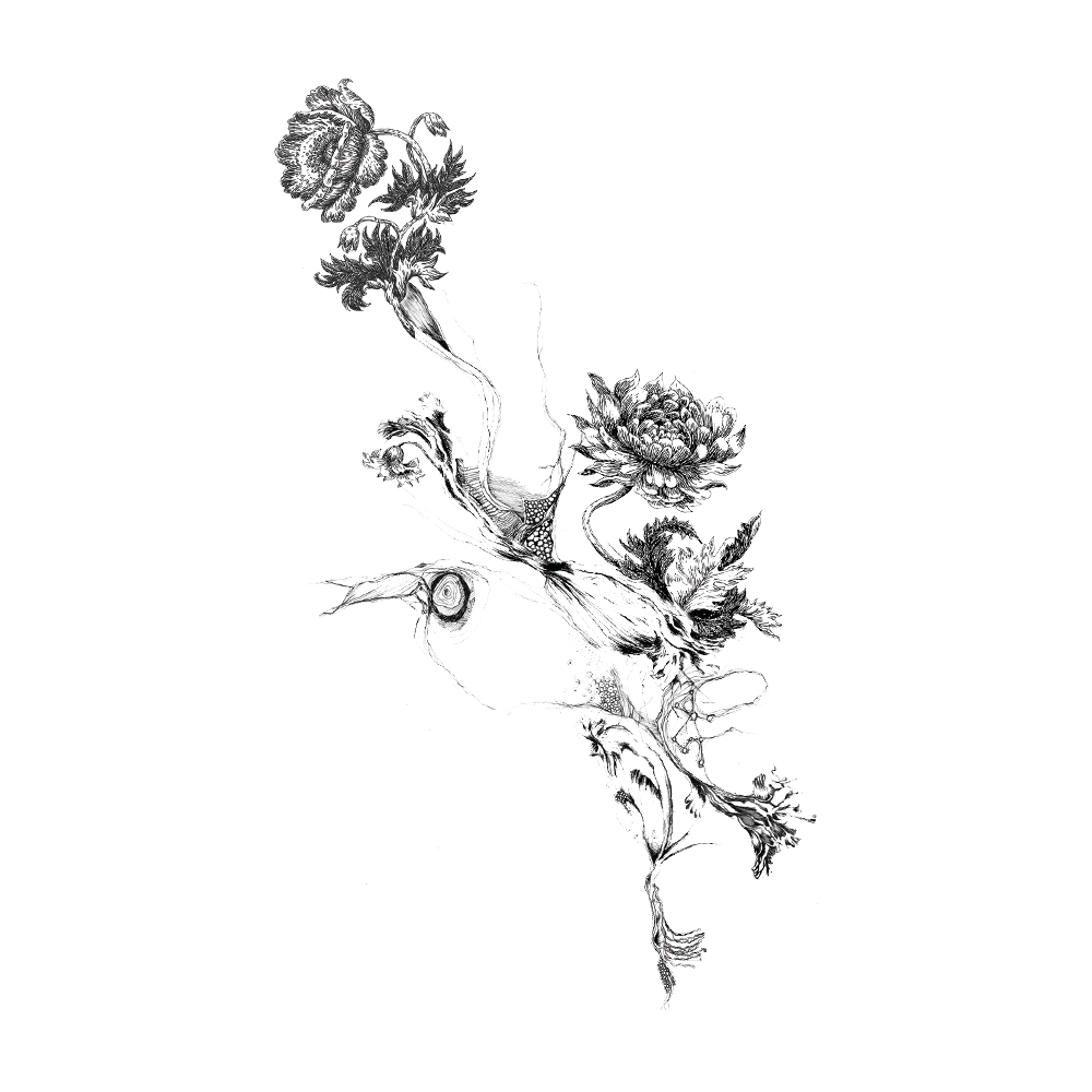 Tattoo Birth flower - Flower Tattoo Png Picture png download - 1000*