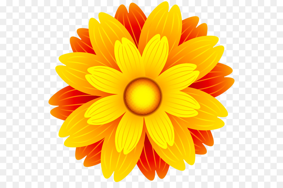 Flower Orange blossom Clip art - Orange Flowers Cliparts png download - 600*585 - Free Transparent Flower png Download.