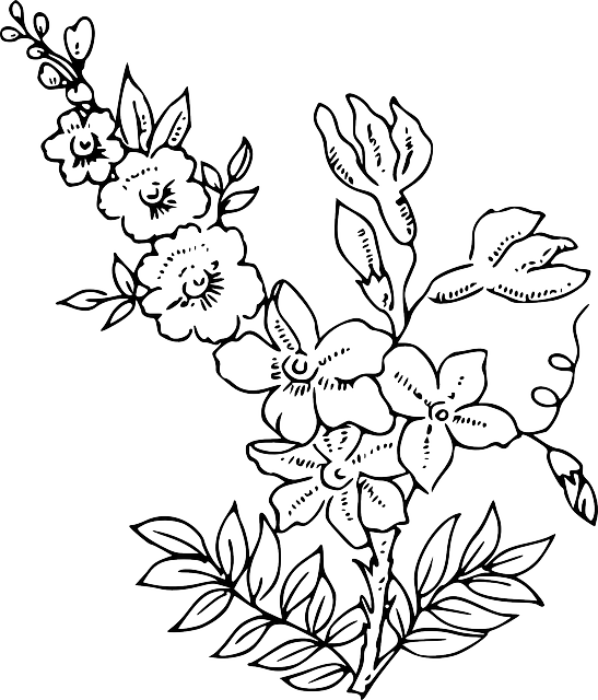 Flower Drawing Clip art - Flower Outline png download - 547*640 - Free