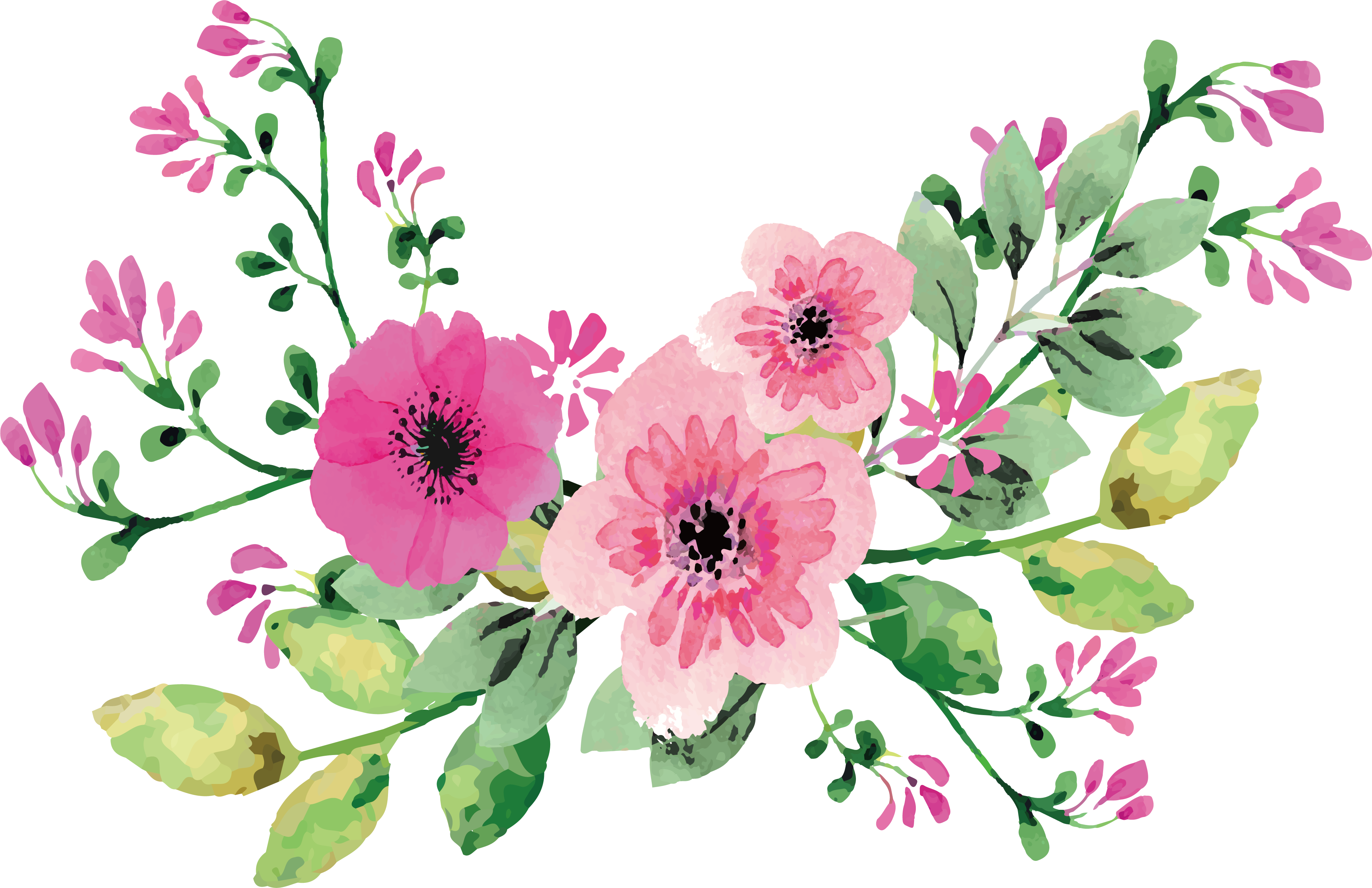 Romantic watercolor flowers png download - 3985*2578 - Free Transparent