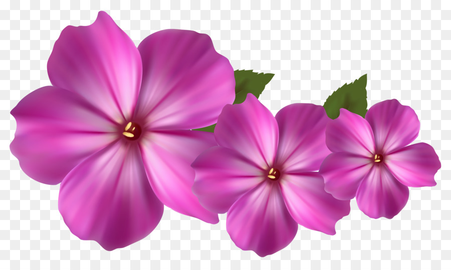 Pink flowers Clip art - Pink Flower Images png download - 5474*3216 - Free Transparent Flower png Download.