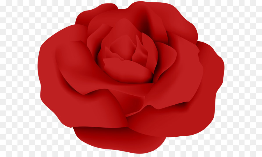 Garden roses Red Petal - Red Rose PNG Transparent Clip Art png download - 8000*6546 - Free Transparent Rose png Download.