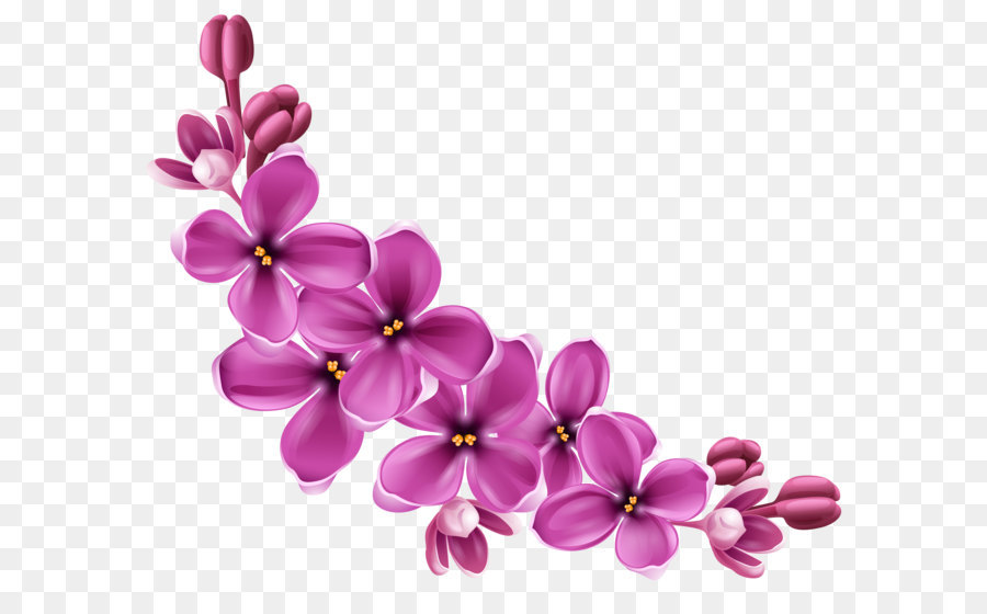 Flower Clip art - Flowers Png 9 png download - 4967*4131 - Free Transparent Flower png Download.