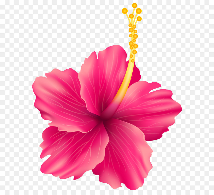 Flower Scalable Vector Graphics Clip art - Pink Exotic Flower PNG Transparent Clip Art Image png download - 6404*8000 - Free Transparent Flower png Download.