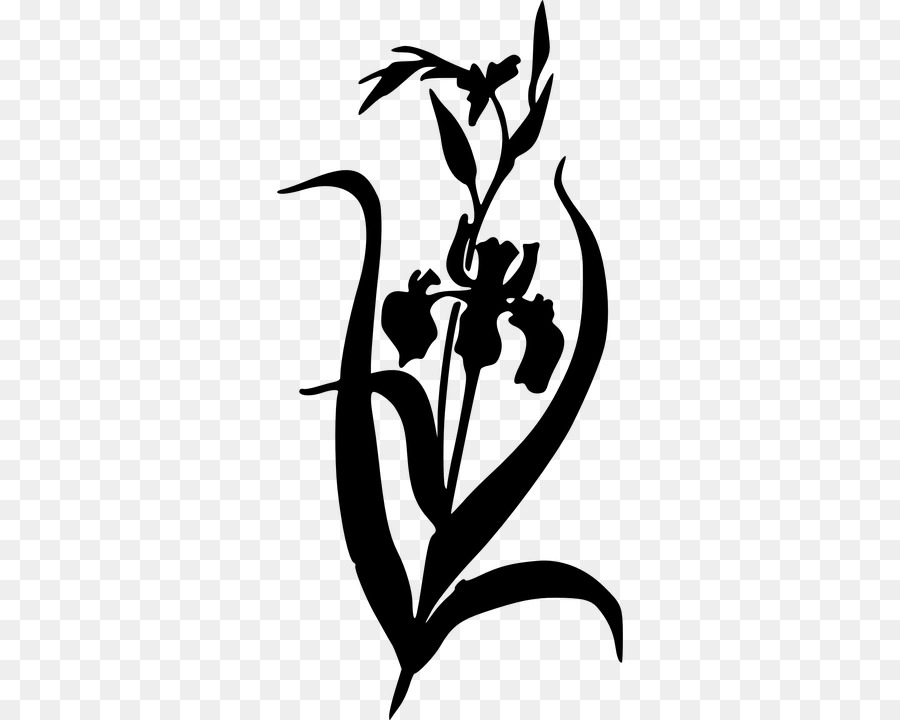 Irises Clip art - free flower silhouette png download - 360*720 - Free Transparent Irises png Download.