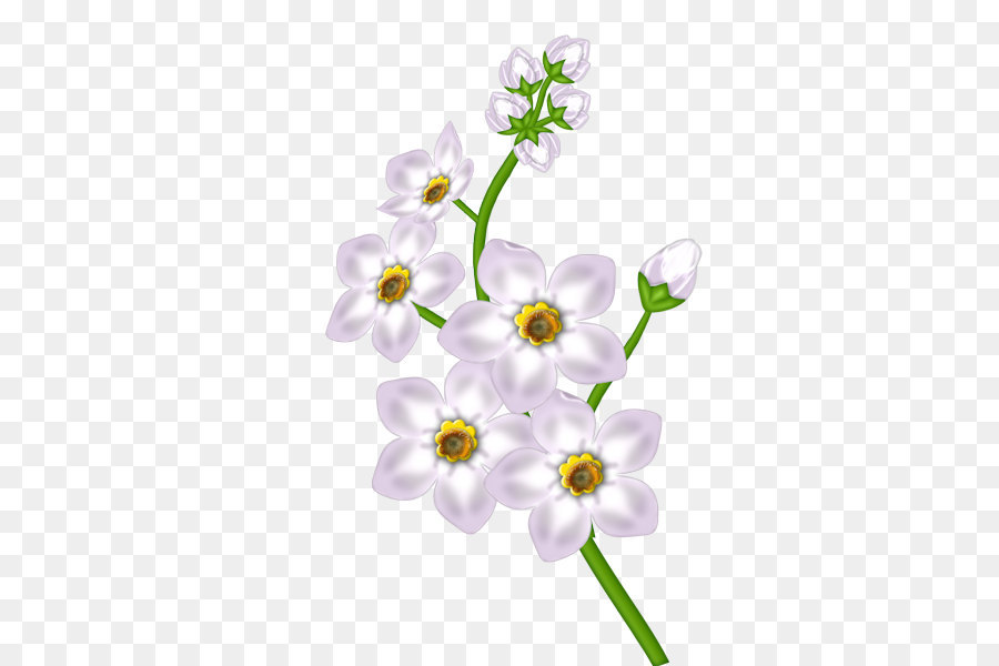Flower Floral design - White Flower Transparent Clipart png download - 600*600 - Free Transparent Flower png Download.