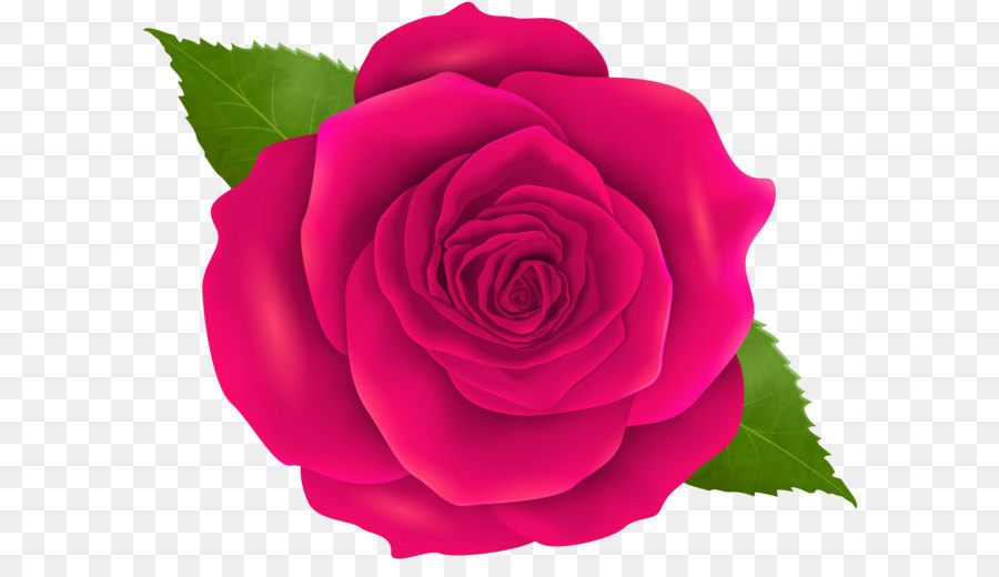 Blue rose Flower Bead - Pink Rose Transparent PNG Clip Art png download - 8000*6261 - Free Transparent Blue Rose png Download.