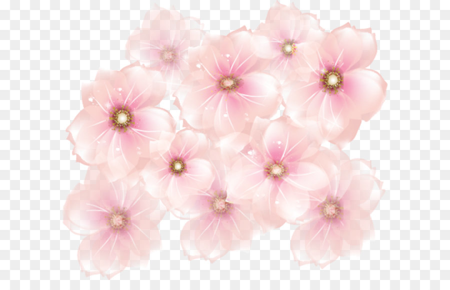 Pink flowers Clip art - Pink Flowers Transparent Clipart png download - 899*775 - Free Transparent Flower png Download.