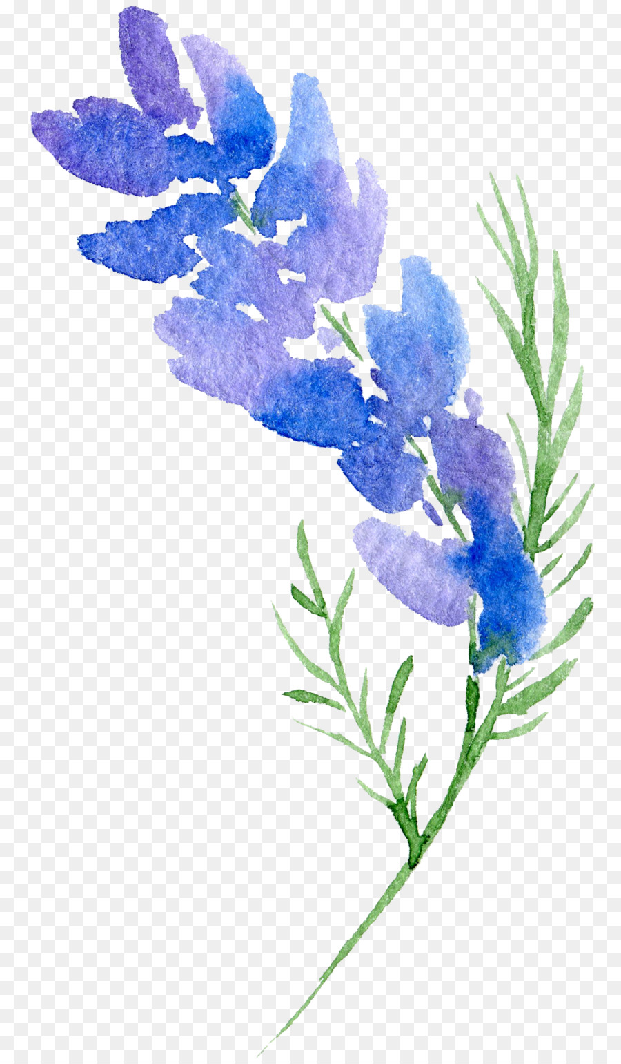 Floral design Flower Watercolor painting - Transparent background floral botanical watercolor flowers png download - 1301*2215 - Free Transparent Floral Design png Download.