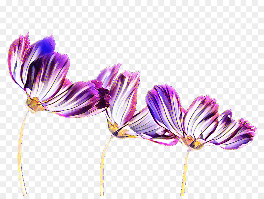 Purple Flowering plant Plants - blue flower transparent background png download - 1600*1189 - Free Transparent Purple png Download.