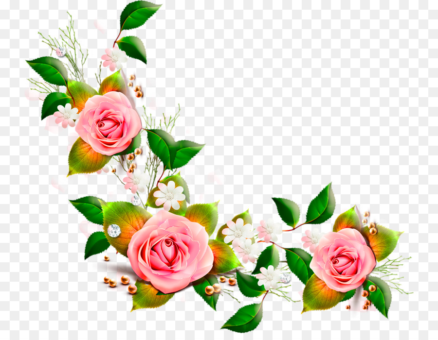 Flower Clip art - peach flowers png download - 800*686 - Free Transparent Flower png Download.