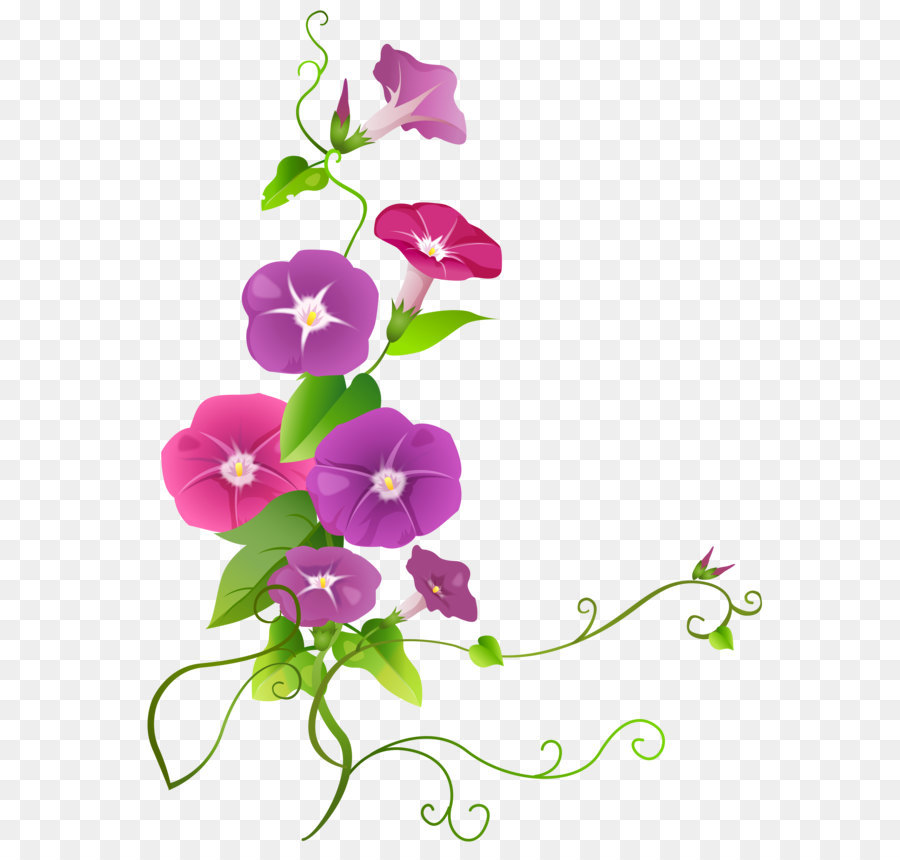 Clip art - Ipomoea Flower Transparent PNG Clip Art Image png download - 5448*7143 - Free Transparent Ipomoea Indica png Download.