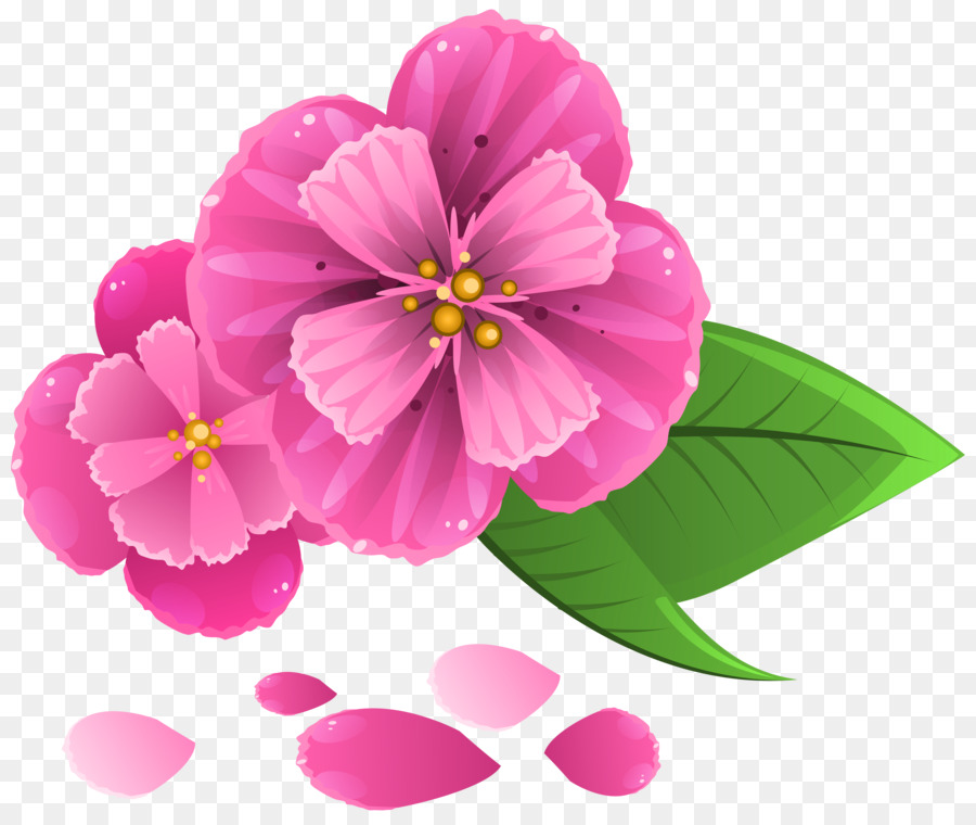 Pink flowers Petal Clip art - petal png download - 6287*5273 - Free Transparent Flower png Download.