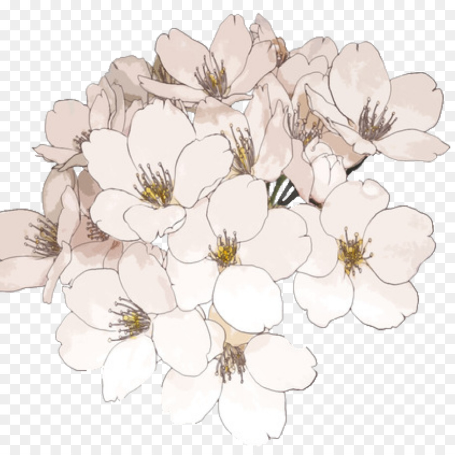 Portable Network Graphics Transparency Flower Clip art Desktop Wallpaper - how to draw a flower png tumblr png download - 960*960 - Free Transparent Flower png Download.