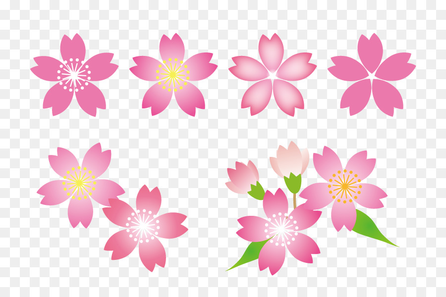 Cherry Flowers.png - others png download - 800*600 - Free Transparent Floral Design png Download.