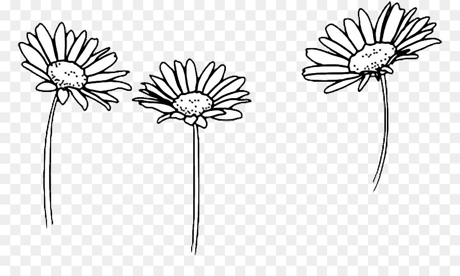 Clip art Drawing Flower Image Floral design - sunflowers tumblr 2560 png download - 832*528 - Free Transparent Drawing png Download.