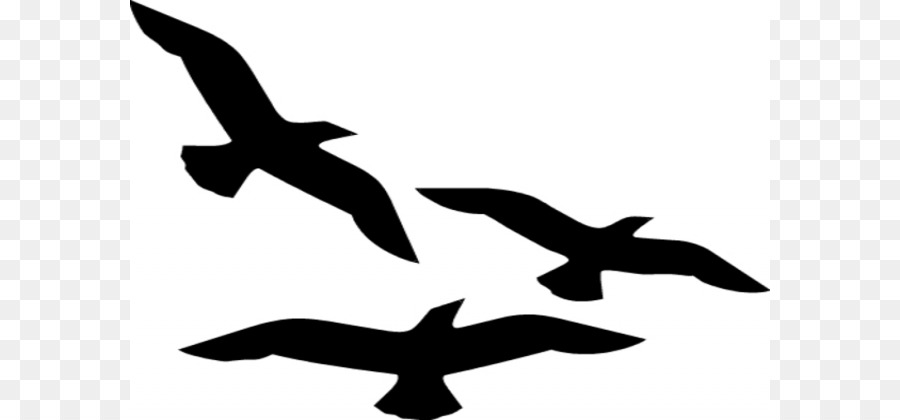 Bird Flight Silhouette Clip art - Black Fly Cliparts png download - 640*420 - Free Transparent Bird png Download.