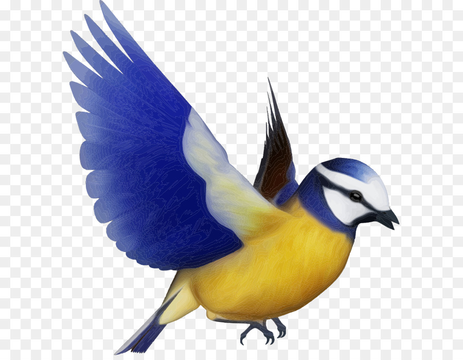 Bird Silhouette Clip art - flying bird png download - 655*691 - Free Transparent Bird png Download.