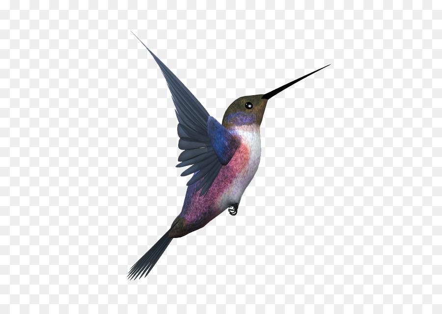Hummingbird Flight Eurasian Magpie - Flying bird png download - 838*635 - Free Transparent Hummingbird png Download.