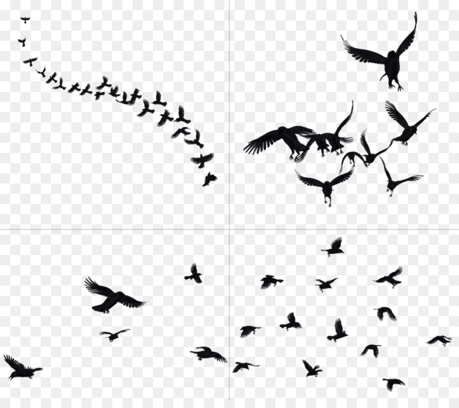 DeviantArt Bird Clip art - Flying Crow Png png download - 957*835 - Free Transparent Deviantart png Download.