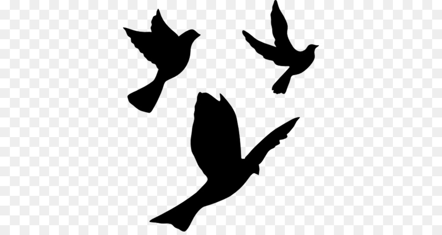 Pigeons and doves English Carrier pigeon Homing pigeon Vector graphics Bird - birds flying transparent png free icons png download - 1200*630 - Free Transparent Pigeons And Doves png Download.