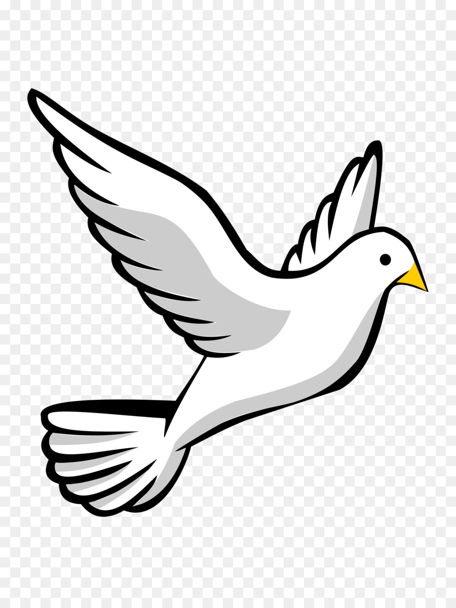 Columbidae Doves as symbols Clip art - dove silhouette png download - 1800*2400 - Free Transparent Columbidae png Download.
