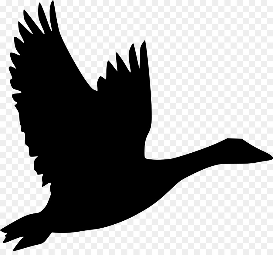 Bird Goose Flight Duck Clip art - goose png download - 980*902 - Free Transparent Bird png Download.
