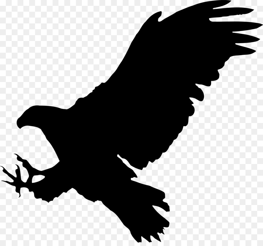 Bald Eagle Bird Silhouette - Hawk png download - 2400*2208 - Free Transparent Bald Eagle png Download.