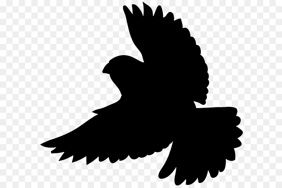Free Flying Hawk Silhouette, Download Free Flying Hawk Silhouette png