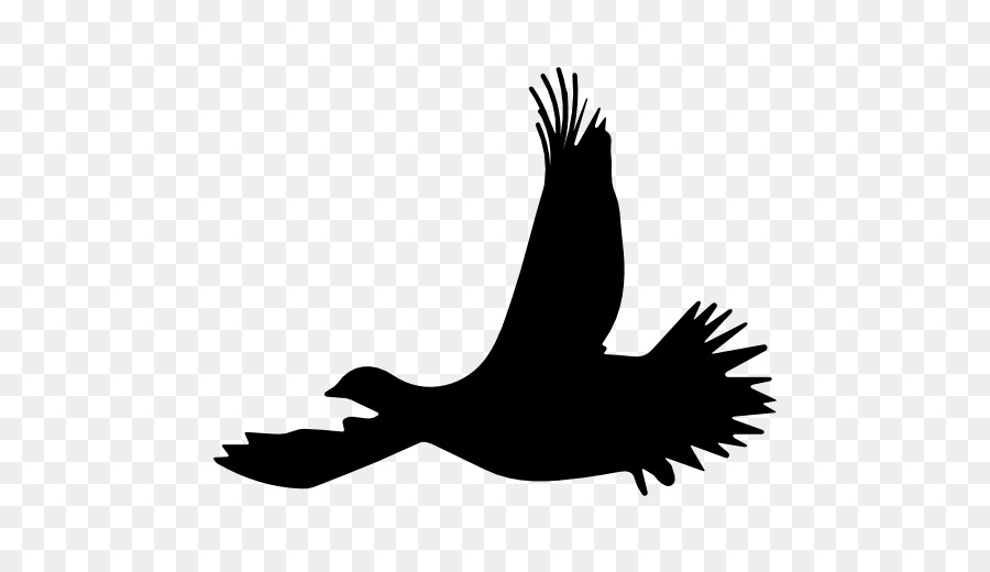 Bird Flight Silhouette Ruffed grouse - silhouette birds png download - 512*512 - Free Transparent Bird png Download.
