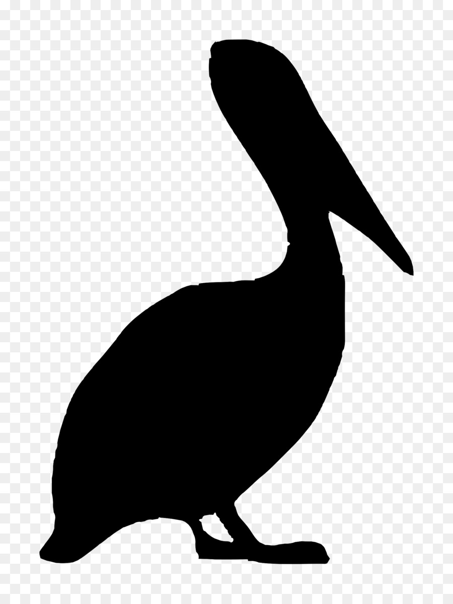 Bird Brown pelican Clip art - pelican png download - 1801*2400 - Free Transparent Bird png Download.