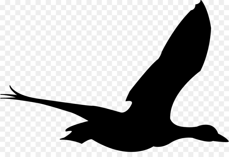 Bird Flight Goose Clip art - animal silhouettes png download - 1920*1281 - Free Transparent Bird png Download.