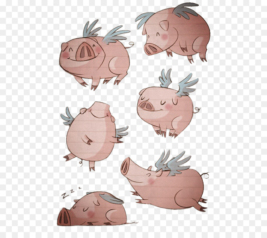 Domestic pig Drawing Illustration - Flying Pig png download - 557*787 - Free Transparent Miniature Pig png Download.